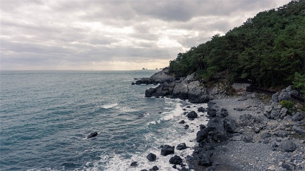 最吉利旺财的店铺名字