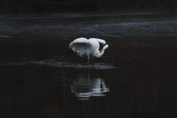 关于轻浮的名言