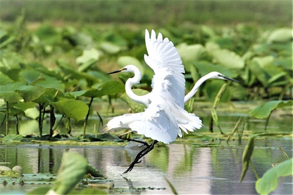 好听诗意的民宿名字