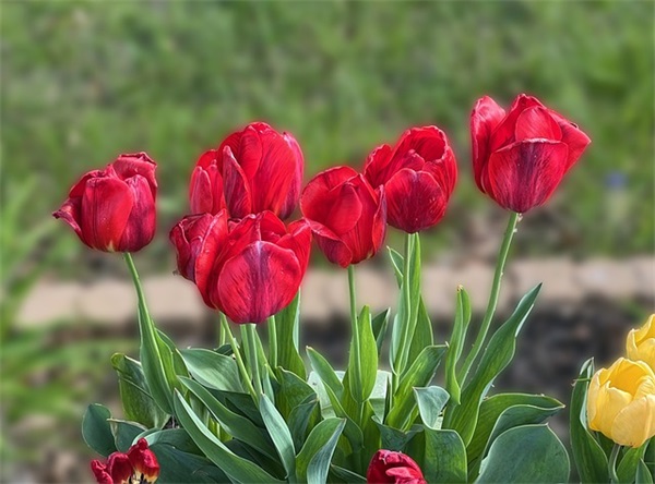 川菜馆名字大全(207个)