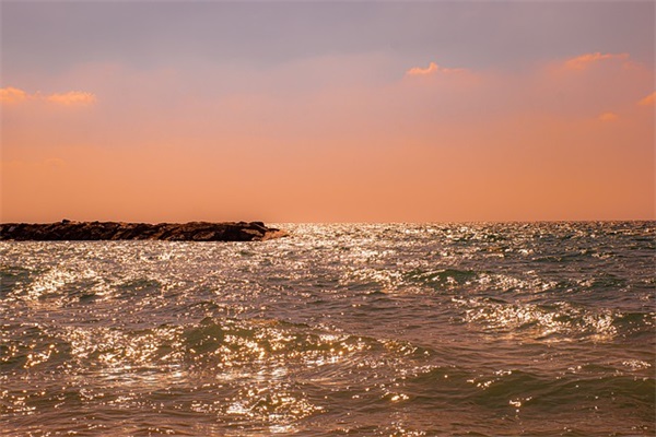 水果店名字有创意高端个性