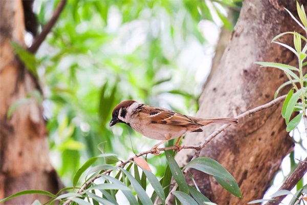 有韵味有诗意的女装店名