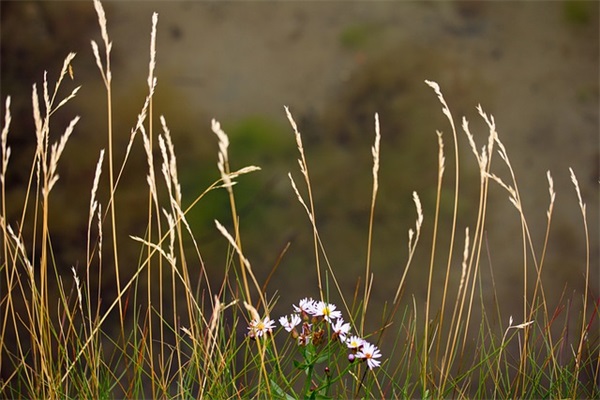 吸引人的超市名字大全(精选272个)