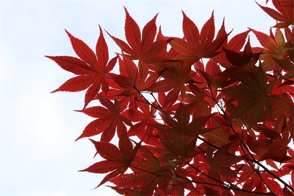 少女心爆棚的店名 好记又可爱