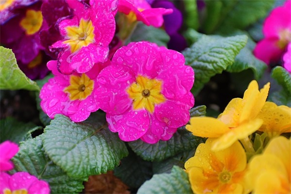 农村饭店名字简单大气