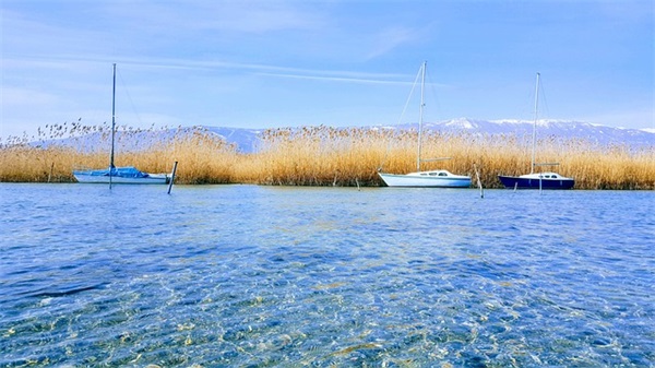 便利店名字有创意的好听吸引人