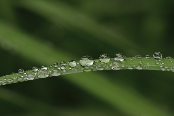 经典励志名言（三）