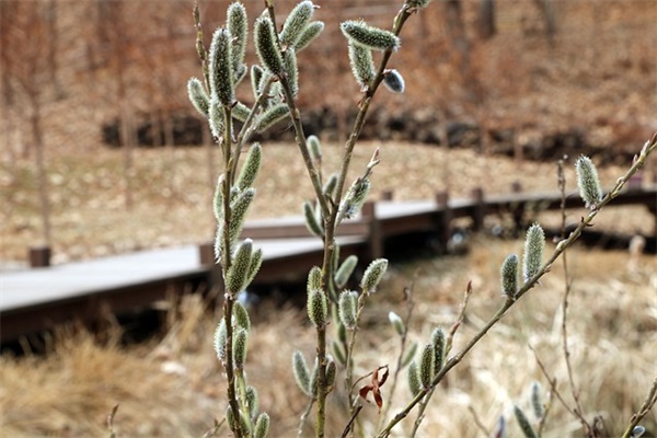 很清新很清爽的店铺名字