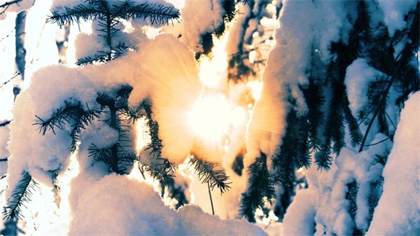 美容店铺取名字大全免费查询