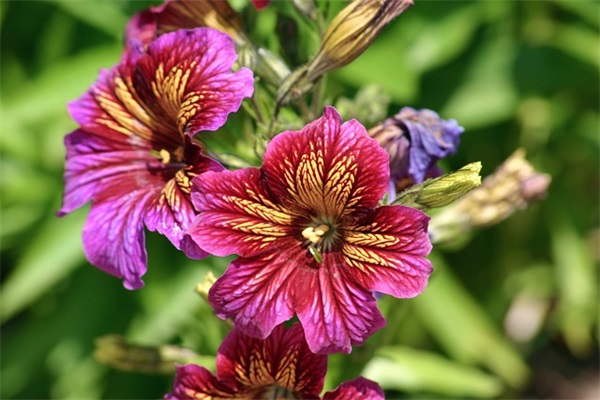 美发店名字大全个性时尚