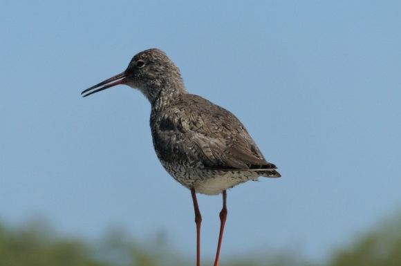 独一无二的好听女孩名姓刘1760个