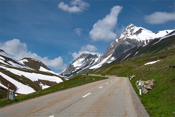 什么花店名字好听,高端大气一点的