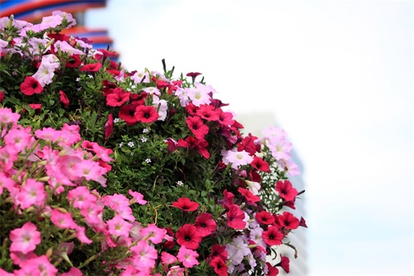 吸引人的甜品店名字