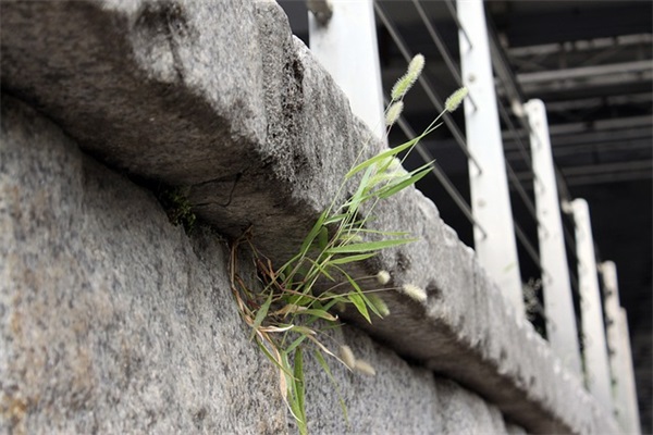 洋气的酒吧名字+英文名字 [78个]