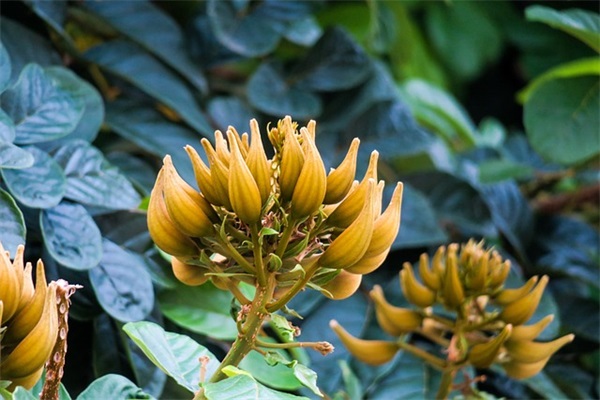 夜色酒吧英文名字 [76个]