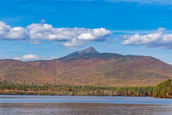 好听独特的饮品店名字