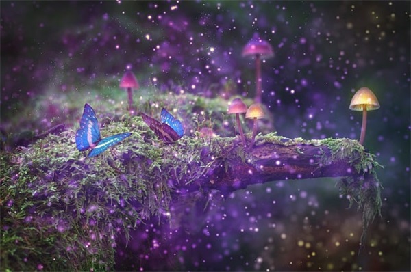 独一无二的足疗店名字(精选221个)