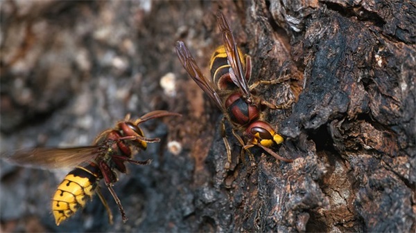 寓意好的汽修店名字(123个)