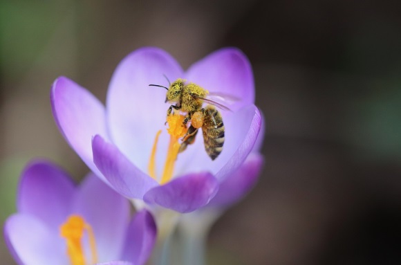 男宝缺金霸气名330个