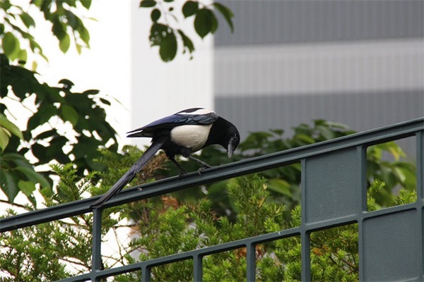 汽车用品店霸气名字(180个)