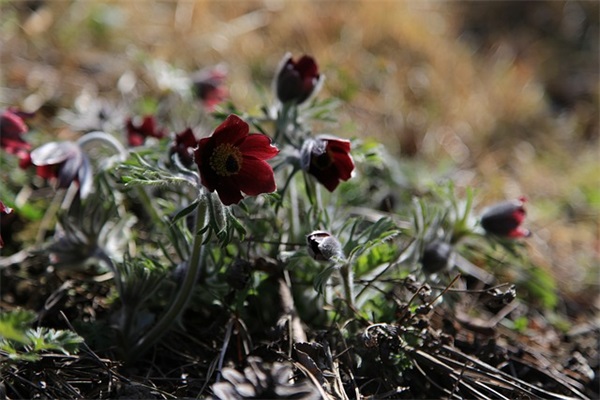 早餐店名字简单大气(精选219个)