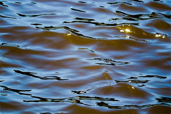 面馆必定红火的名字(精选200个)