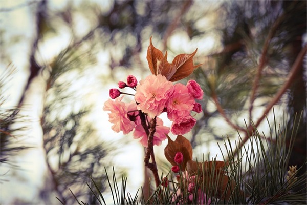 小商店名字大全好听有创意