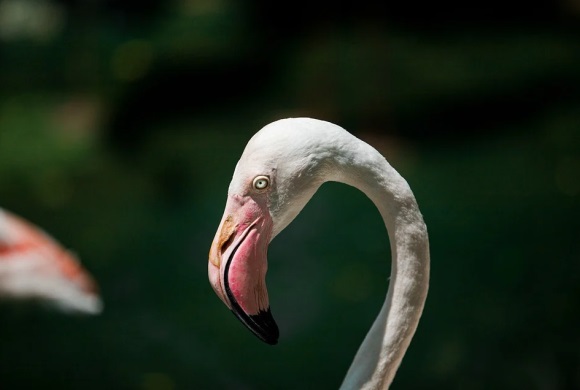 五金店取店名生意红火名大全230个