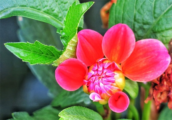 自助烧烤店名字最有创意