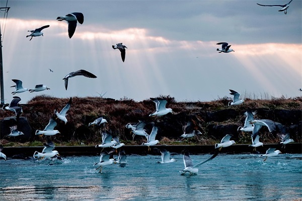 好听独特的蛋糕店名名字