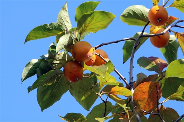 很小众却很惊艳的店名