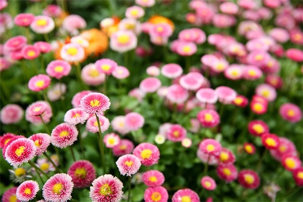 洋气的店铺名字精选潮流时尚