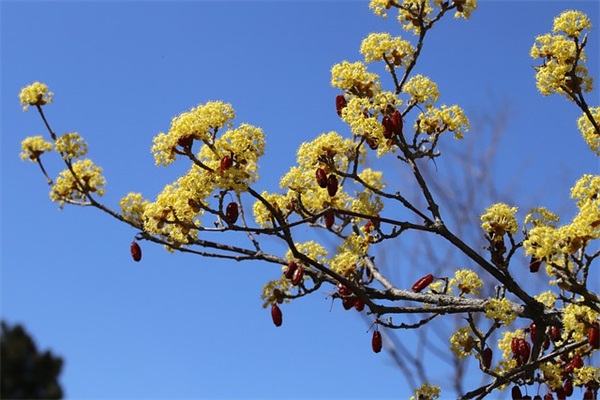 2025年女孩取名大全