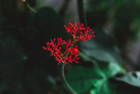 靓丽女装店名405个