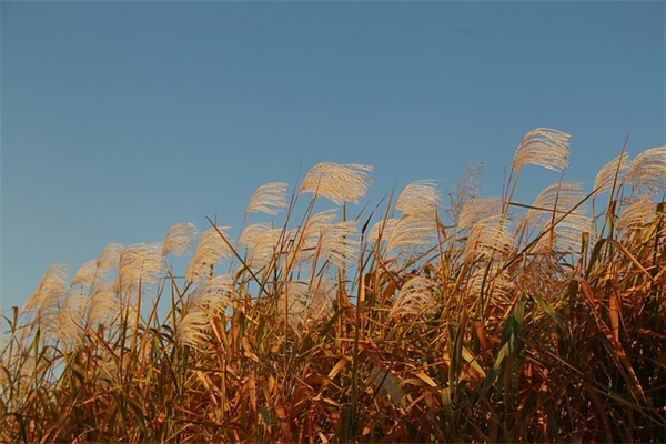 曾姓怎么取名字好听