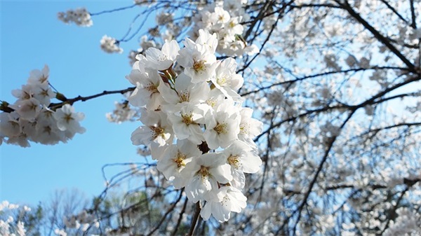 女宝宝乳名 音律优美、琅琅上口的女孩小名要这样起！