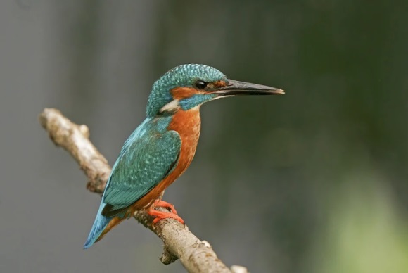 百货商店取名,日用百货取店名大全免费