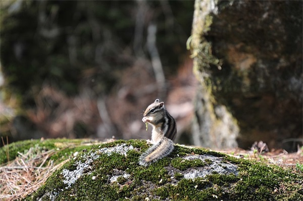 女孩的名字大全