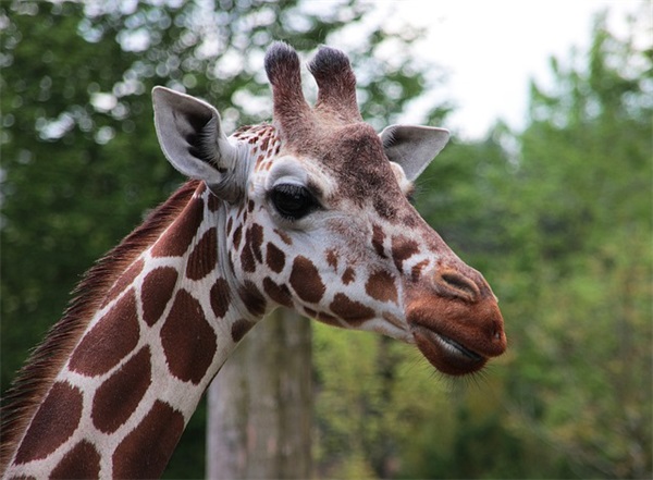 开业朋友圈宣传语范文26句