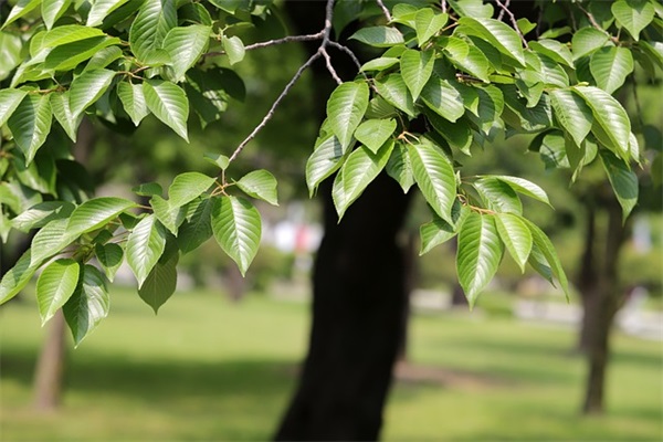 婚礼邀请语简短朋友圈文案39条