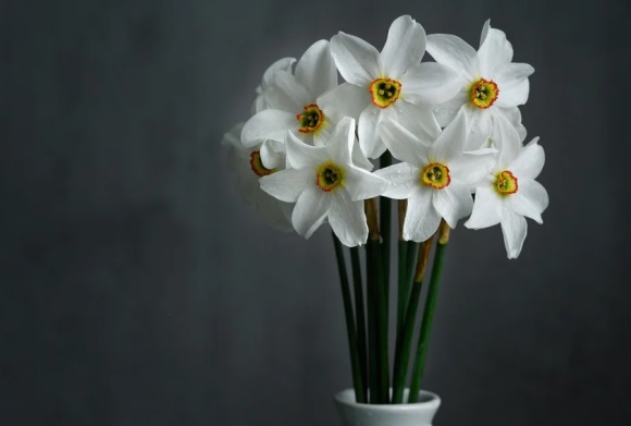 公司免费起名大全一千名，公司名称大全集最新免费