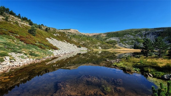 一路走好的哀悼图片文案71句