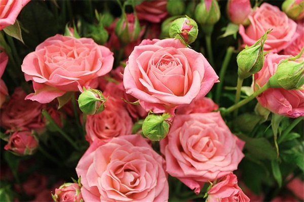 庆祝自己又长大一岁的朋友圈文案集合(57句)