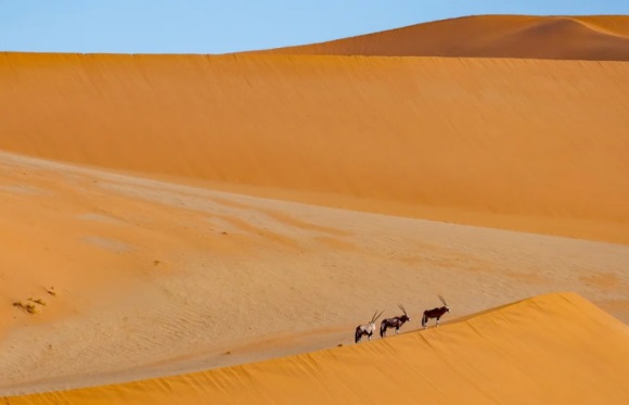 美妆店铺取名靓丽店名390个