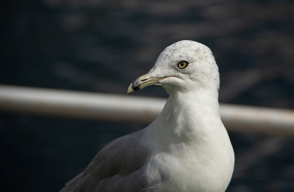 简单又有创意的公司名称大全303个