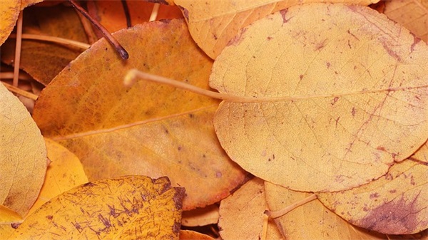 好友留言文案简短(精选40条)