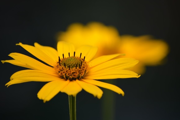 小清新独特的店名大全，好听的店名简约 唯美