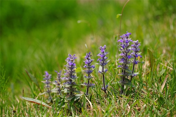 爱而不得又放不下的文案(合集76句)