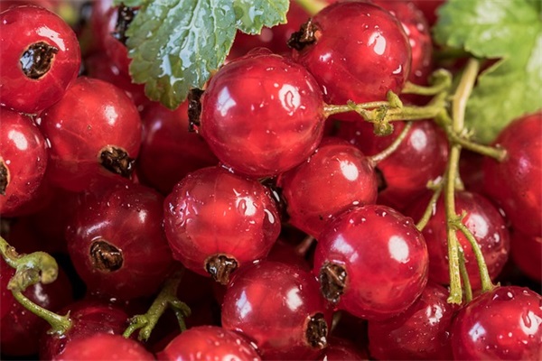 换手机号发朋友圈的告知文案四十条