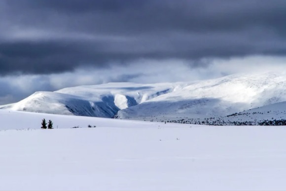 适合美容院的店名380个